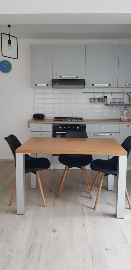 Casa Zorilor Cluj Daire Dış mekan fotoğraf