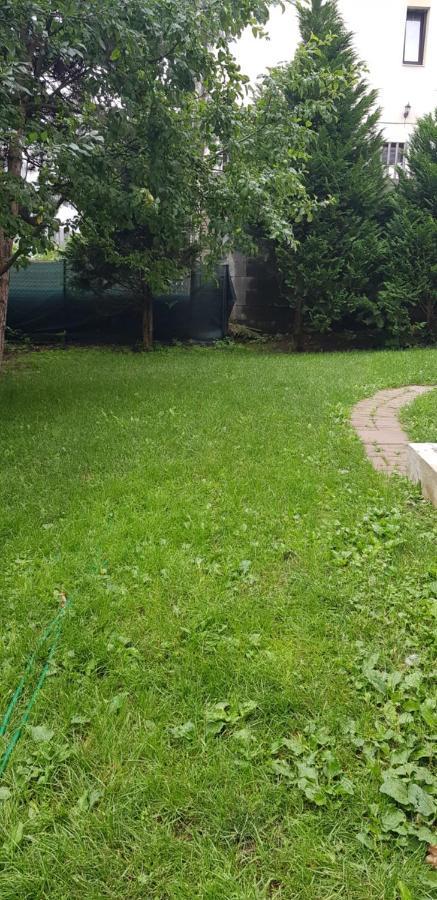 Casa Zorilor Cluj Daire Dış mekan fotoğraf
