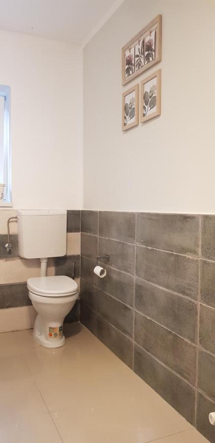 Casa Zorilor Cluj Daire Dış mekan fotoğraf